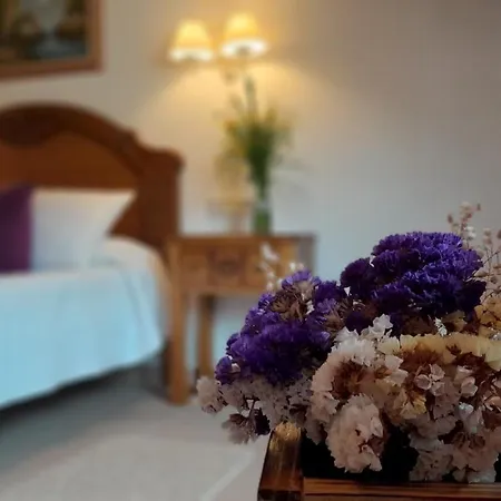 Apartment El Haya
